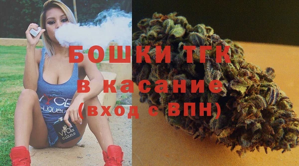 дурь Няндома