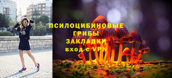 соль курить ск Нязепетровск