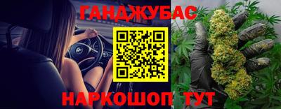 кокс Гатчина