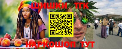 кокс Гатчина