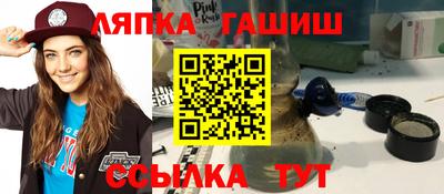 кокс Гатчина
