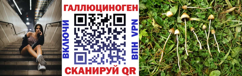 наркота Шатура mega вход Псилоцибиновые грибы Magic Shrooms