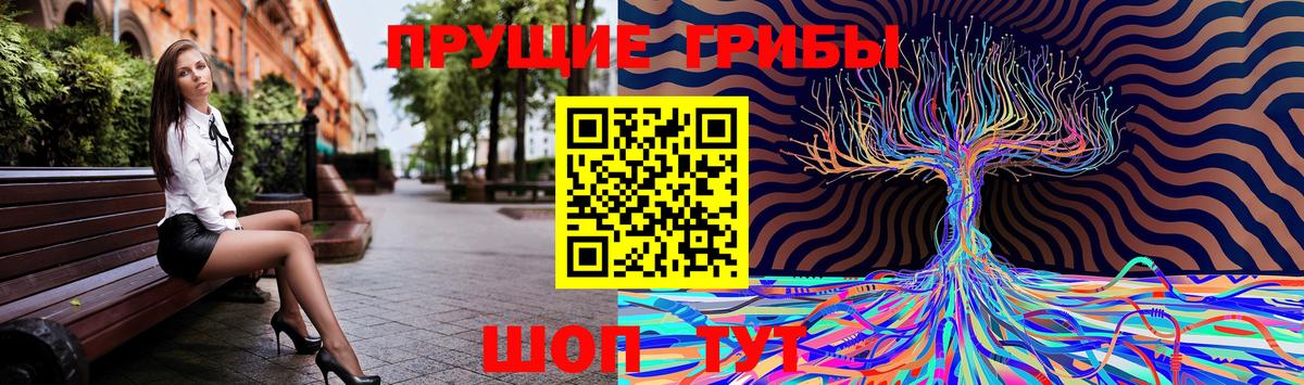Шатура  Галлюциногенные грибы Psilocybe  Вход с VPN  где продают   Галлюциногенные грибы GOLDEN TEACHER 